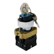 Переключатель TDM BG45 черный 2 положения с ключом 1з 1р SQ0703-0009