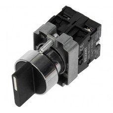 Переключатель REXANT bd32 4p короткая ручка no 36-5551