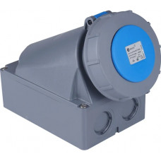 Розетка кабельная настенная угловая TP Electric 63А/240В/2P+E+P/IP67 (синий) 3129-307-0900