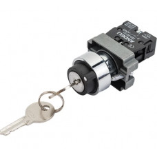 Переключатель ANDELI LA115-A5-11Y/21 черный с ключом 1НО+1НЗ AC220V ADL10-300