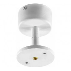 Крепление потолочное Lightstar для светильников 21443Х/21448X Rullo 590006