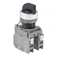 Переключатель Инпром Инновации 2 положения S22R-MB2 NO s10041